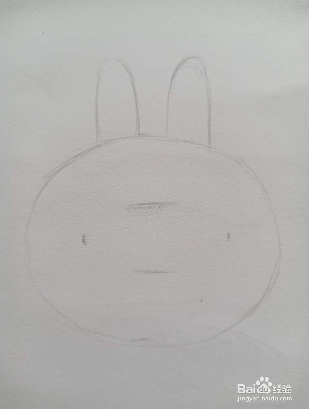 怎么画可妮兔
