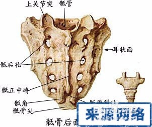 怎样学好医学
