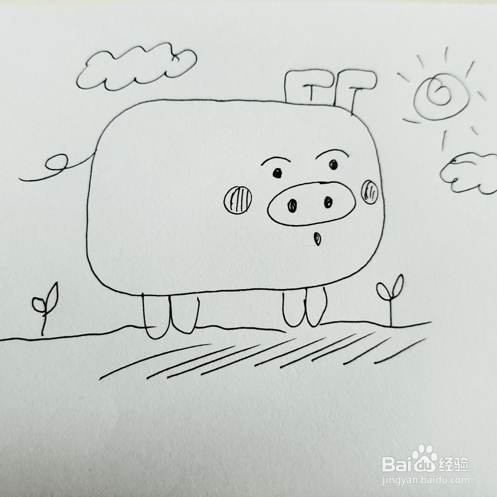 如何来教给孩子画一只胖嘟嘟的小猪呢？