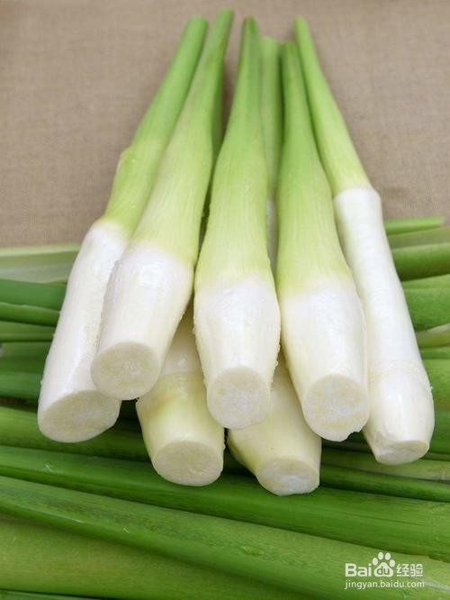 五月适合吃什么时令蔬菜