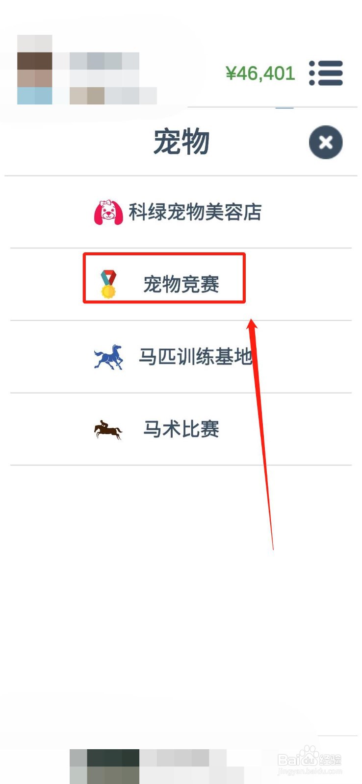 《第二人生》怎么带你的宠物参加宠物竞赛