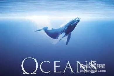 如何写好一篇纪录片评论