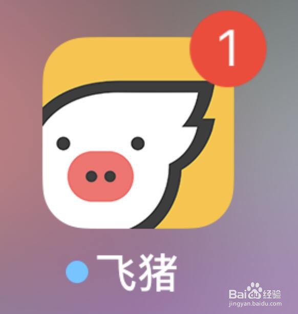 飞猪版本的查看方法