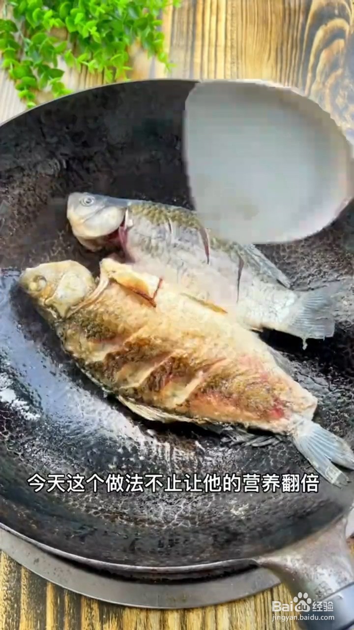 教你制作美食鲫鱼裙带菜汤？