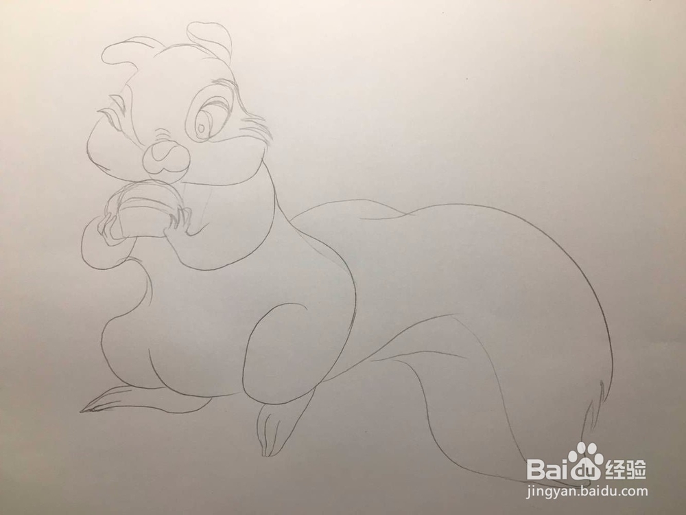 儿童彩色涂鸦:画一只准备吃面包的松鼠 手绘