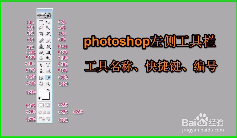 photoshop如何查看图片中部份图片的像素大小