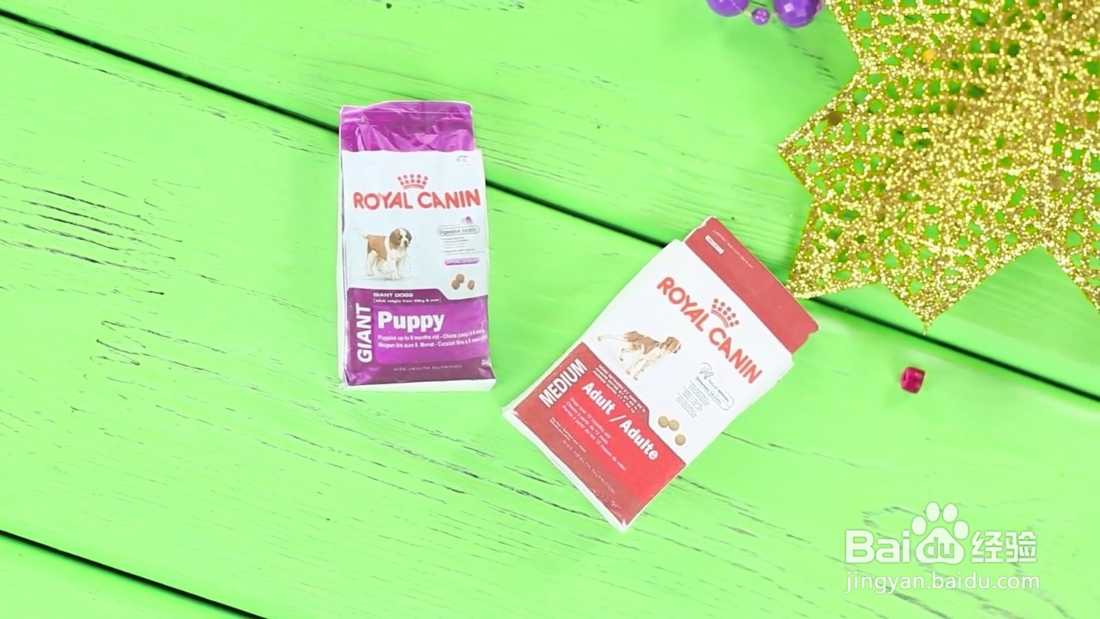 如何给宠物狗狗diy美味的食物？