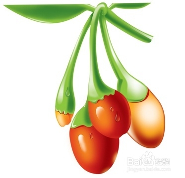 8种食物补肾效果好