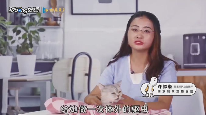 猫咪怎么驱虫？