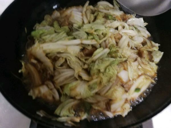 猪肉白菜炖粉条