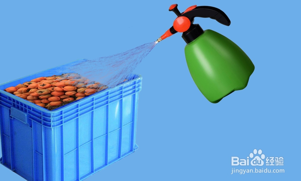 怎样快速使涩柿子变甜?