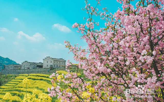 疾病和情绪的关系