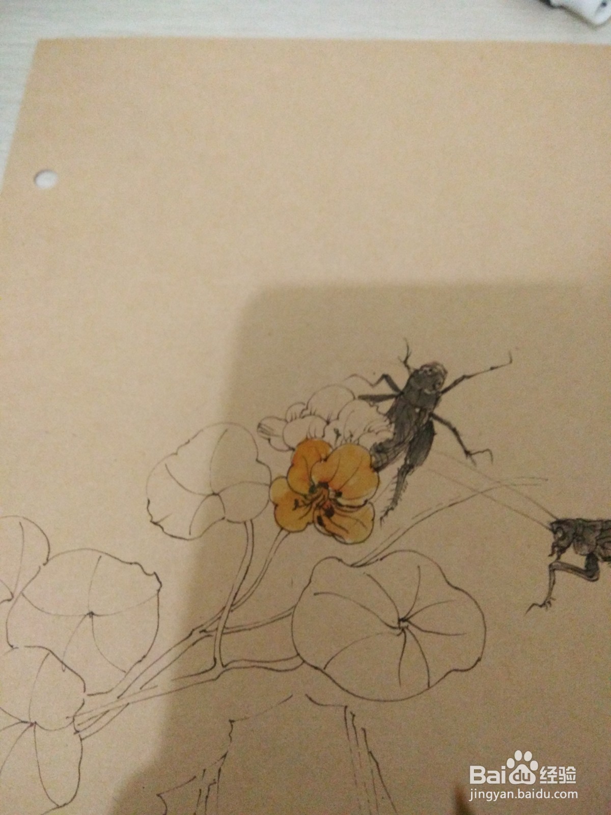 如何用卡纸画蟋蟀