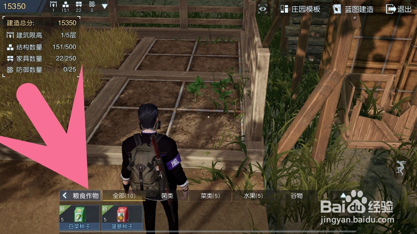 黎明觉醒如何种菜