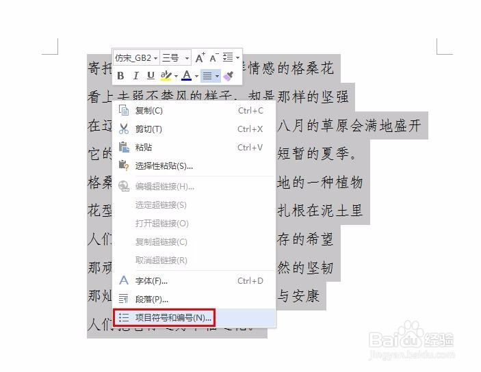 在wps中如何添加项目符号