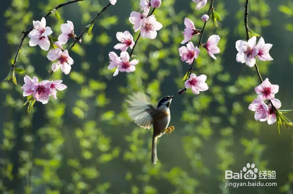 春分养生应注意什么？