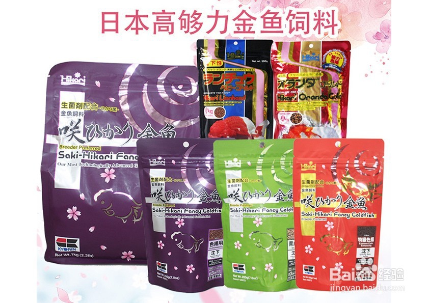 养鱼需要准备什么东西