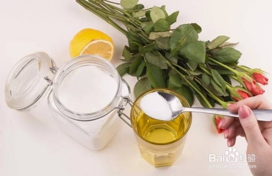 过期的药片丢花盆里植物也不发黄了