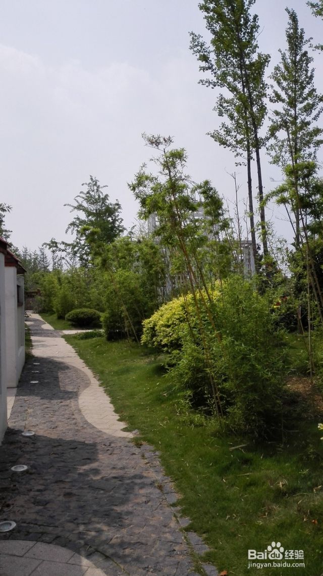 临沂最适合拍婚纱照的地方系列一[图]