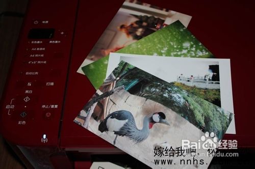 数码潮人必备时尚利器