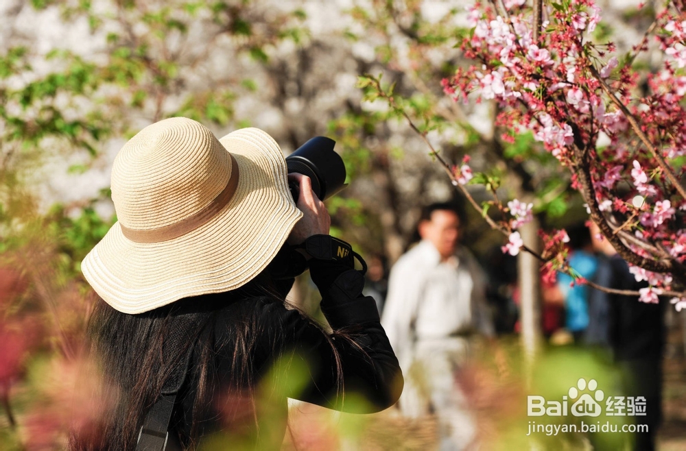如何抓拍旅游人像