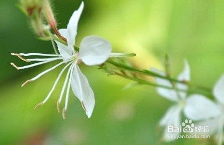 在上海,居住证有什么用及如何办理居住证