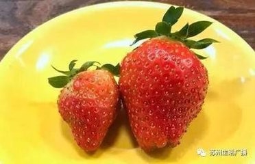 草莓应该怎样清洗？