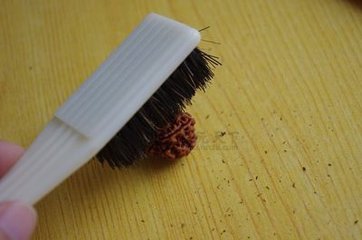金刚菩提的盘完要点大全