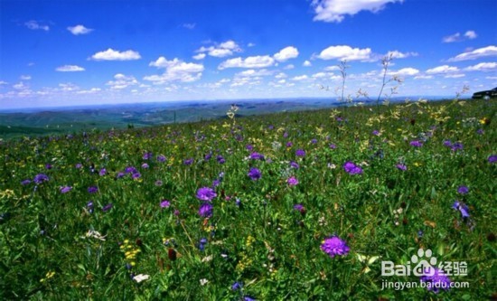 草原天路,不可缺席的身心旅行