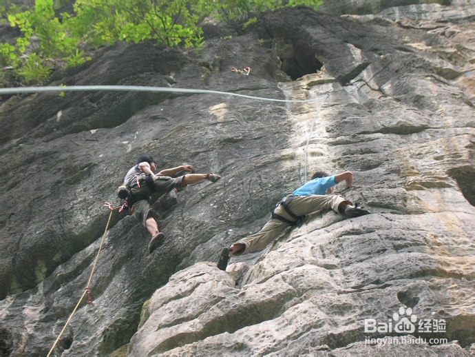 阳朔攀岩线路集锦