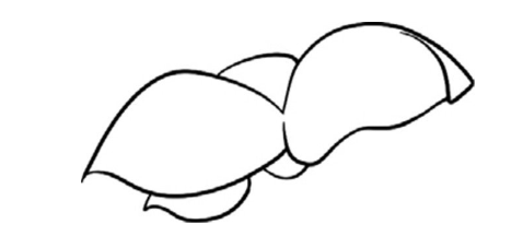 简笔画：软软的柿子绘画步骤