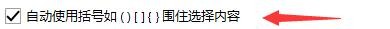 RJ TextED如何设置自动使用括号围住选择内容