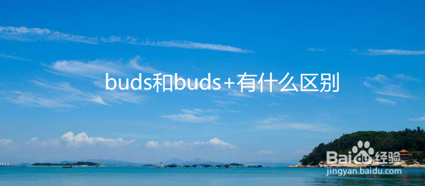 <b>buds和buds+有什么区别</b>