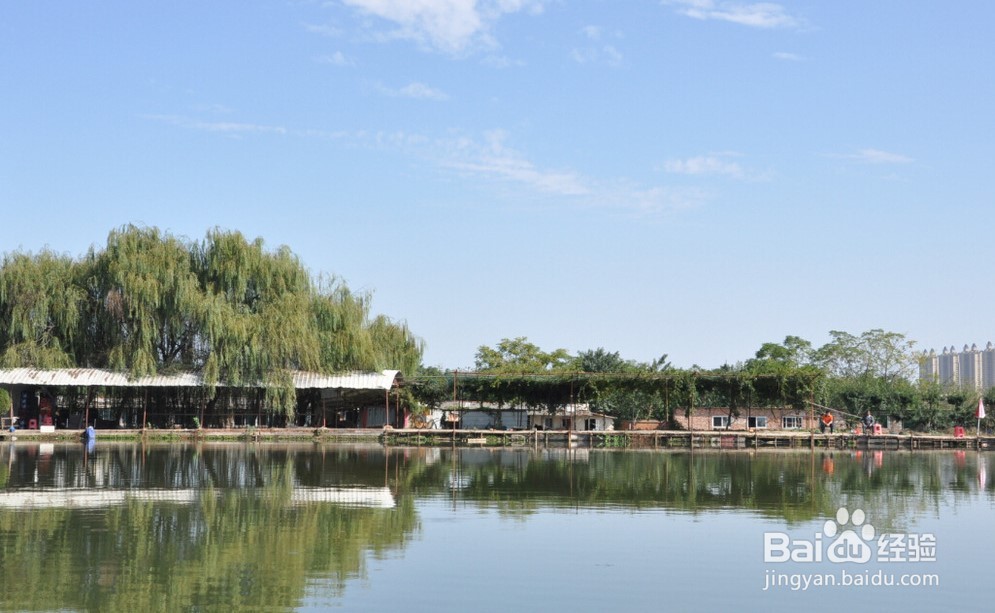 考大学怎么选专业