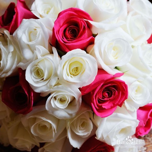 女性怎么样变年轻