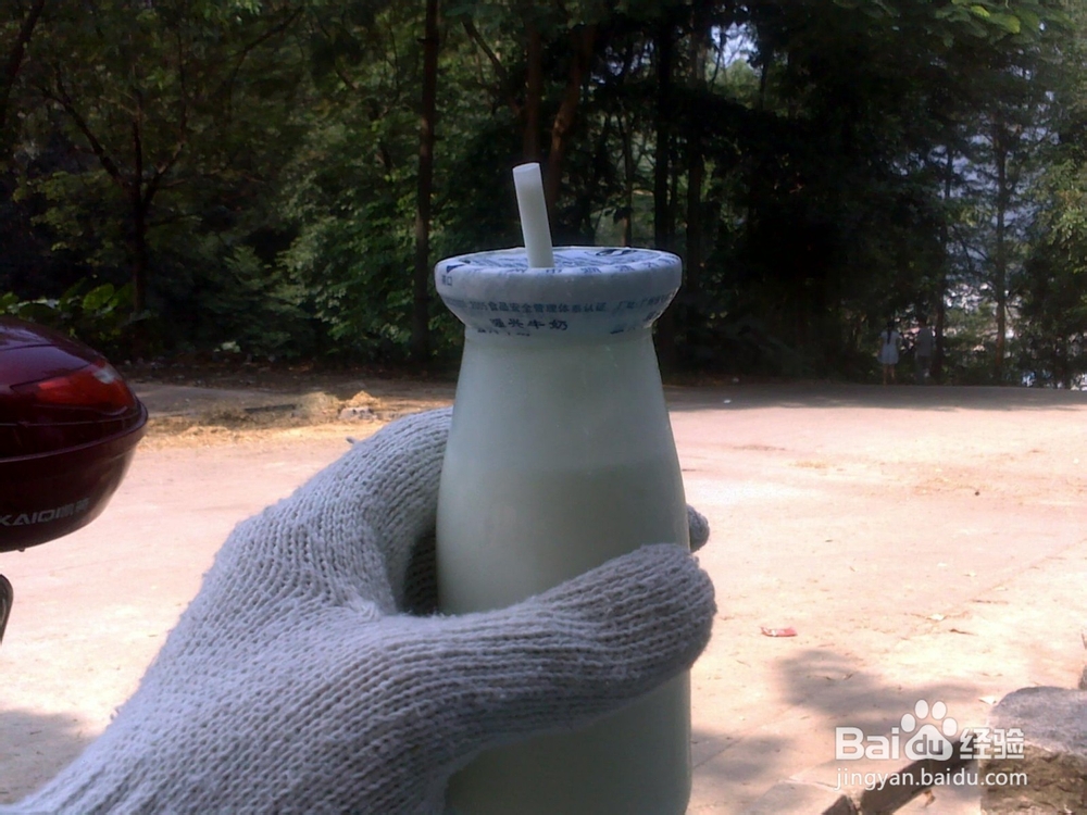 广州火凤线攻略