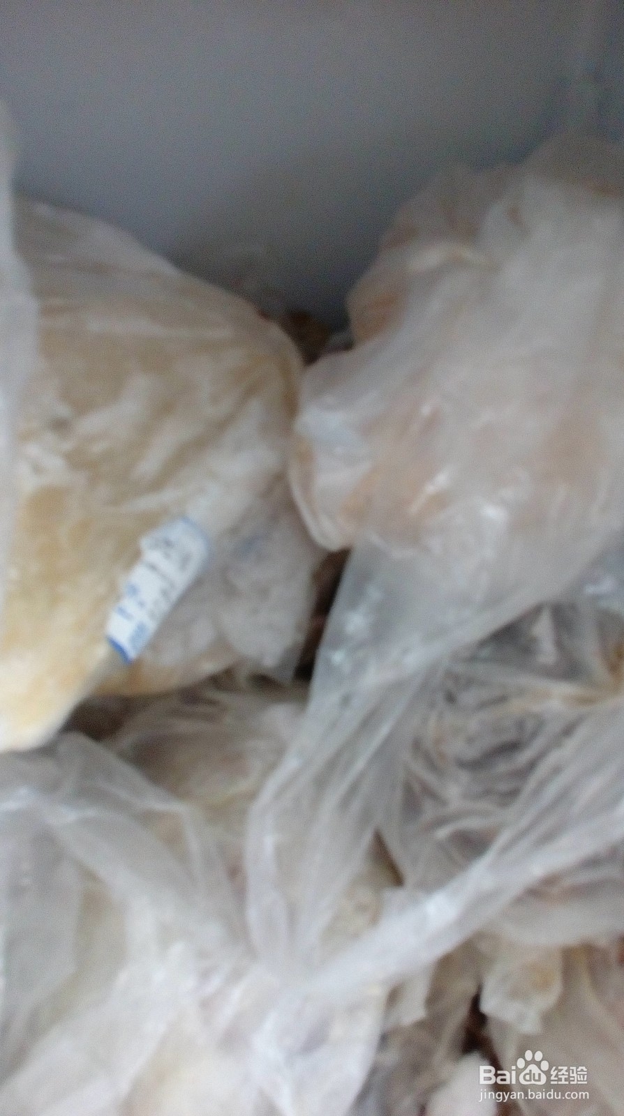 垂钓大型鱼使用的饵料