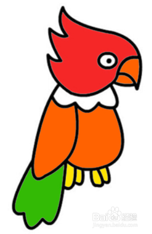 多嘴的鹦鹉简笔画