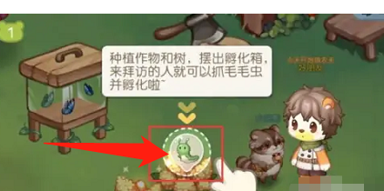 奥比岛蝴蝶箱怎么获得爱心
