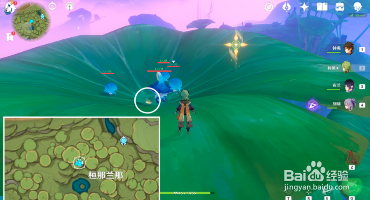 《原神》须弥旋曜玉帛在哪