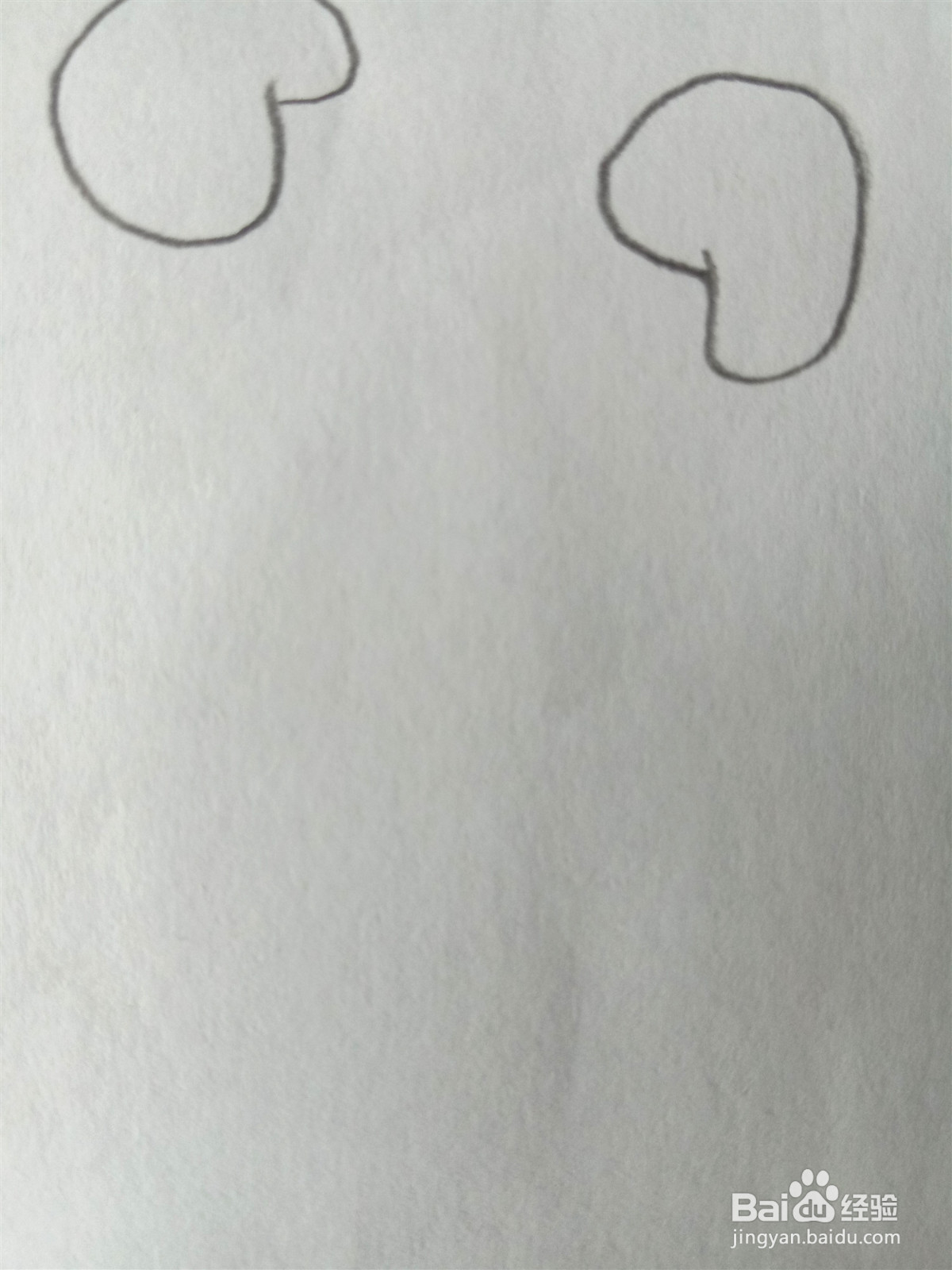 小猪简笔画彩色