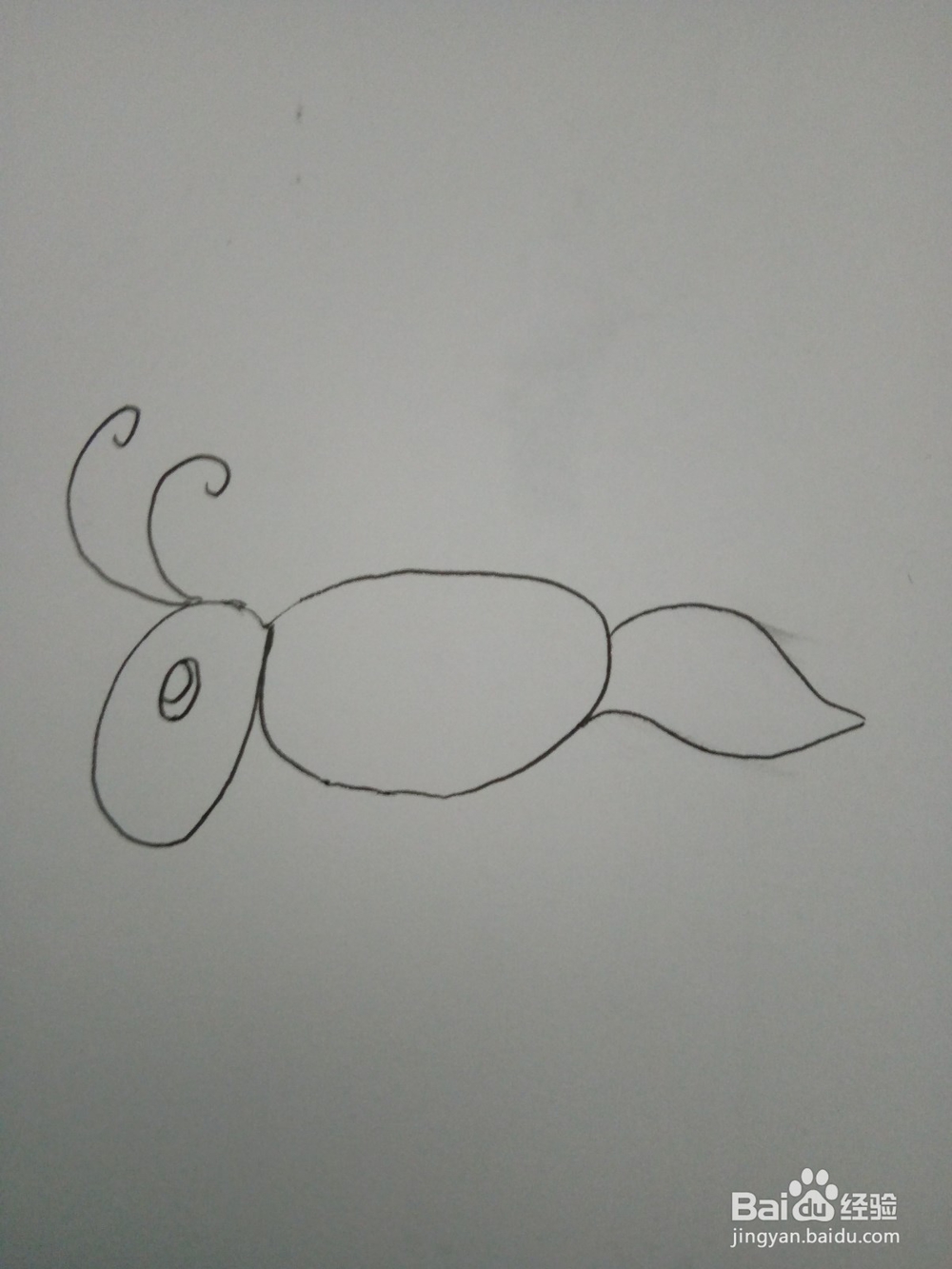 用拼音简笔画小蚂蚁的画法