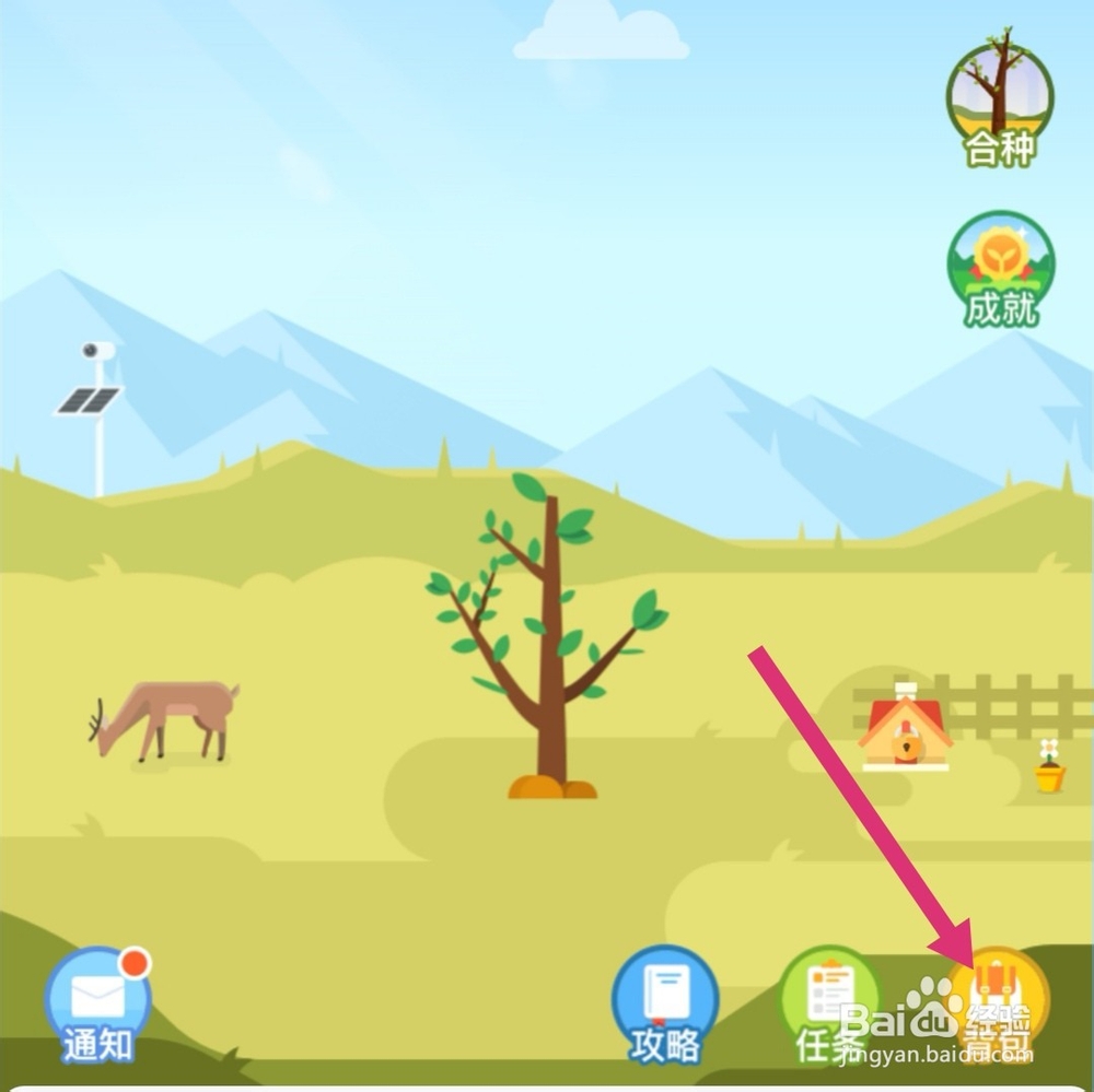 支付宝蚂蚁森林环保证书怎么挂在树上面