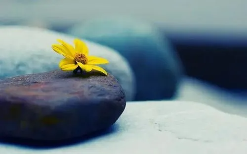 做人做事的道理人生感悟有哪些