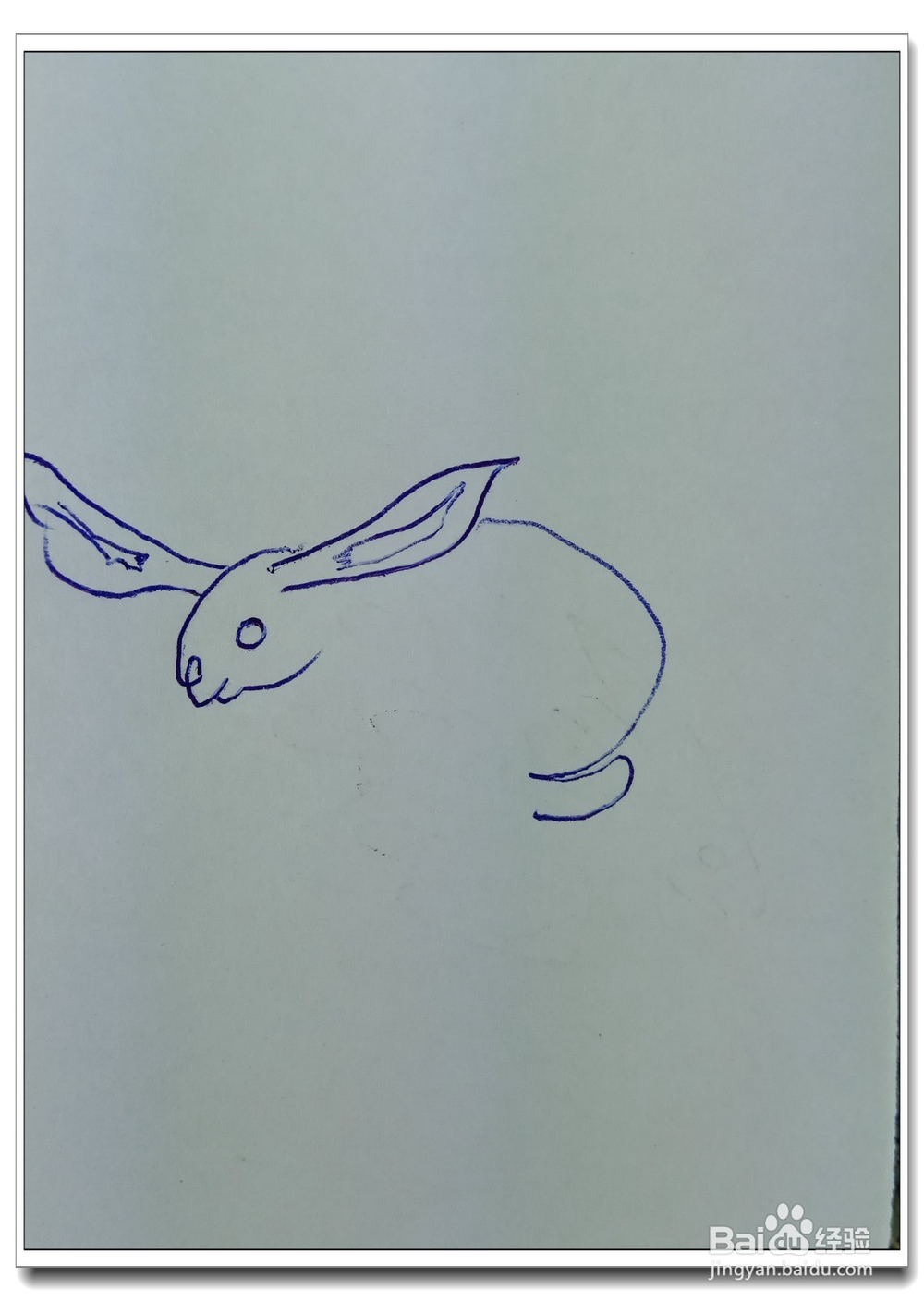 怎样画简笔画“可爱的小白兔”?