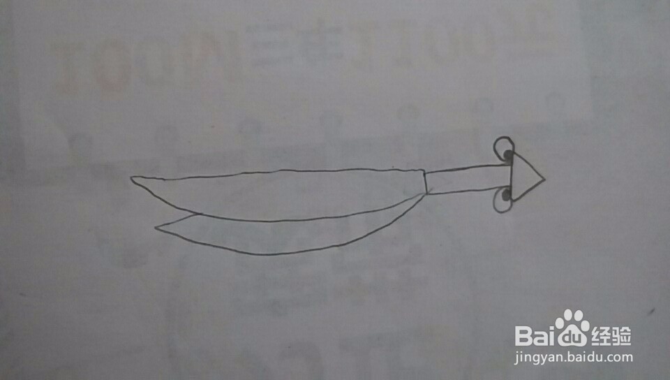 多妈简笔画一只螳螂