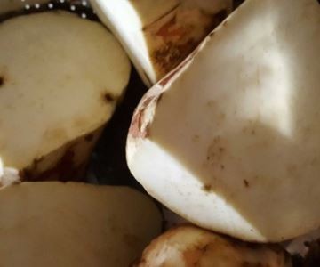 红薯粉是怎么做出来的