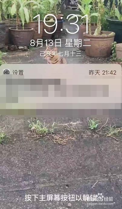 苹果版抖音如何设置动态壁纸
