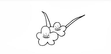 手绘简笔画之梅花的画法
