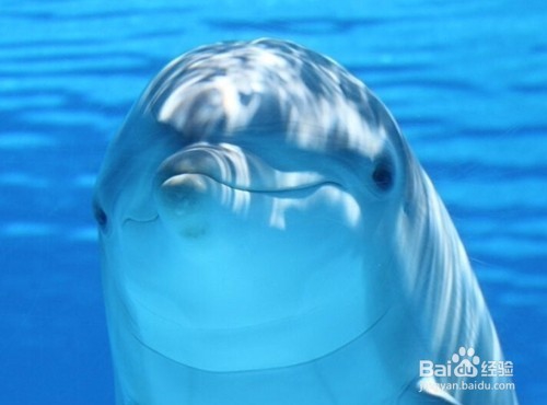 怎么设置鼠标滚动页面放大缩小